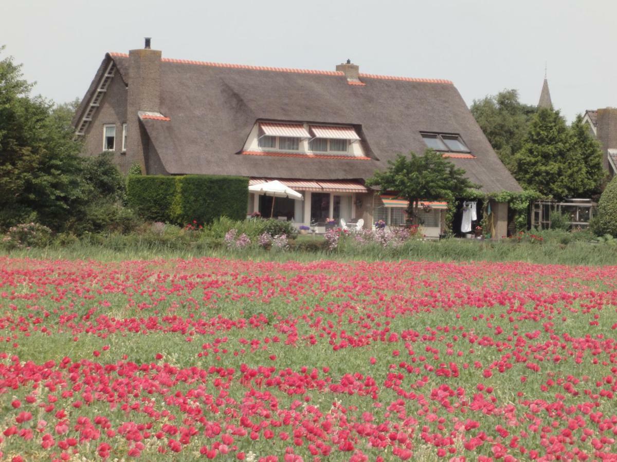 Bed and Breakfast Riethove Харлинген Экстерьер фото